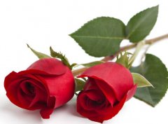 <b>���ȵƷ�ˮע������</b>