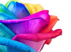 <b>�ⷿ�ķ�ˮ���ɡ�</b>