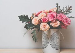 <b>������Ρ���ɷ��</b>