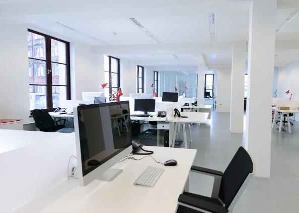 办公室风水植物铁树