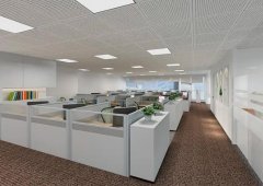 属兔的人办公风水方位解析