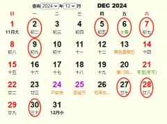 2024��12�¶���Ƶ����� �ʺ�2024��12�¶���ĺ�����