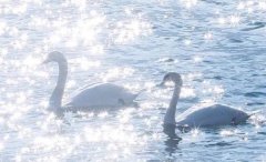 ����2022��12��4�յ�10��һ������