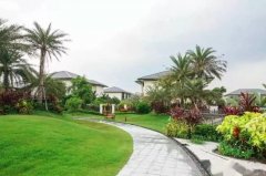 环境风水八卦的阴阳属性