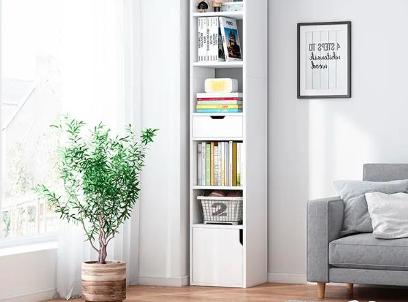 �鷿��ʲô������