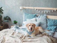 Ӱ�����������ҷ�ˮ����