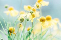 ����2022��12��25�յ�2023��1��1��һ������