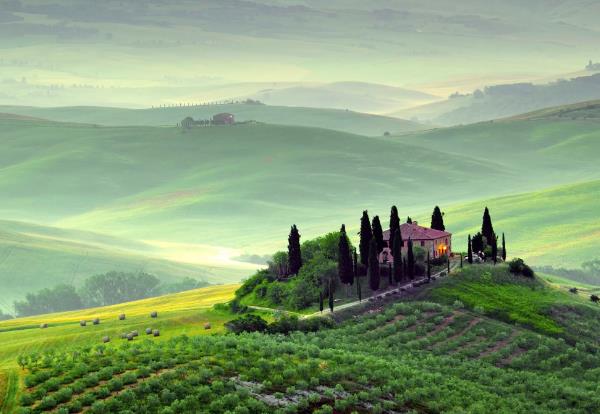 ��ɺ����2023��1��˫��������