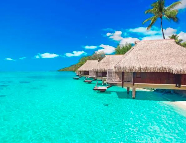 苏珊米勒2023年1月水瓶座运势