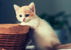 ����2023��1��8�յ�14��һ������