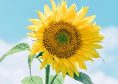 ����2023��2��5�յ�11��һ������