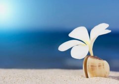 苏珊米勒2023年2月射手座运势