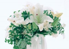 苏珊米勒2023年2月水瓶座运势