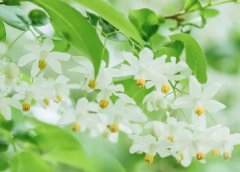 ����2023��2��12�յ�18��һ������