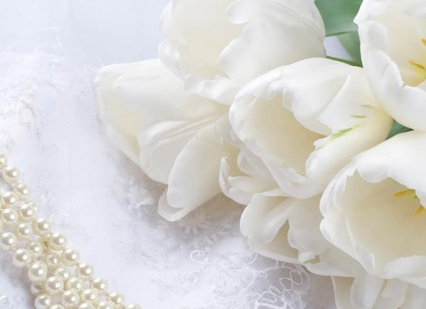 苏珊米勒2023年3月天秤座运势