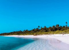 苏珊米勒2023年3月处女座运势