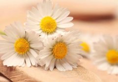 ����2023��3��5�յ�11��һ������