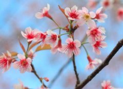 ����2023��4��23�յ�29��һ������