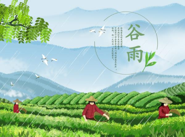 谷雨养生食谱,谷雨养生吃什么?