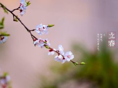 ������ʲô��˼