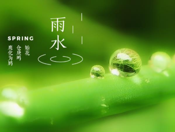 雨水养生食谱,雨水养生吃什么?