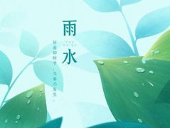 雨水是什么意思
