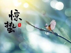 ��������ʳ�ף�����������ʲô��