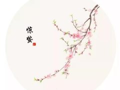 ���ݽ����������