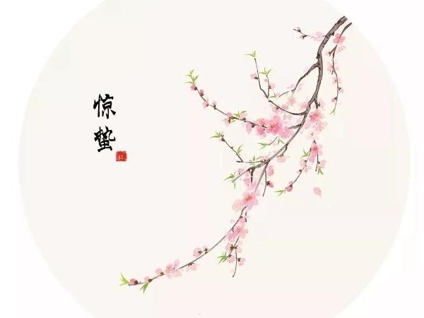 ���ݽ����������