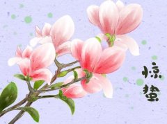 ���ݳ�ʲô��