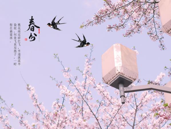 ������ʲô��˼