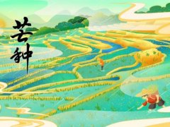 芒种养生食谱,芒种养生吃什么?