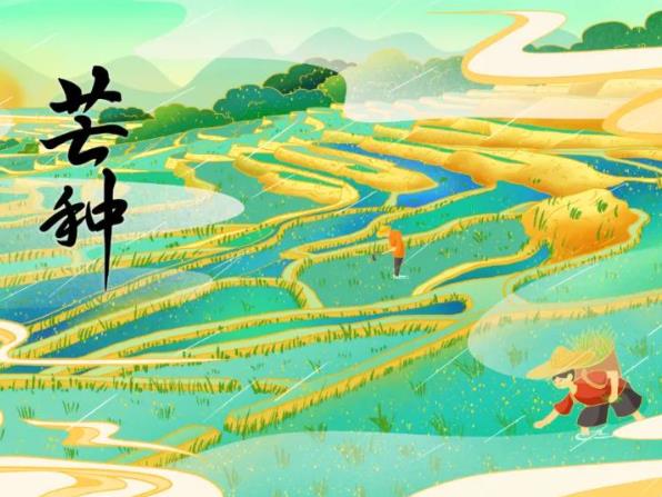 â������ʳ�ף�â��������ʲô��