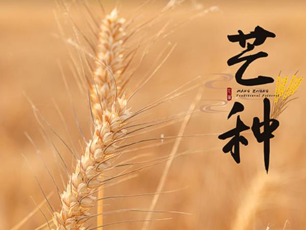 â��ϰ�ף������â��ʱ������Щϰ�ף�