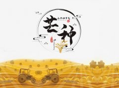 芒种节气相关谚语