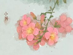 С����ʲôʱ��С���Ǽ��¼���