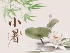 С���ʲô��