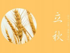 立秋养生食谱,立秋养生吃什么?