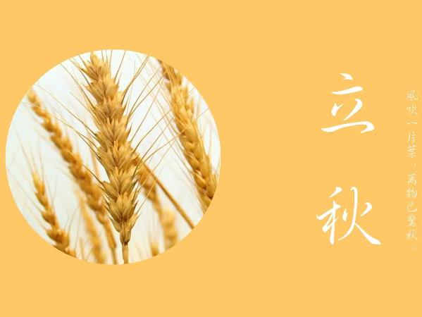 ��������ʳ�ף�����������ʲô��