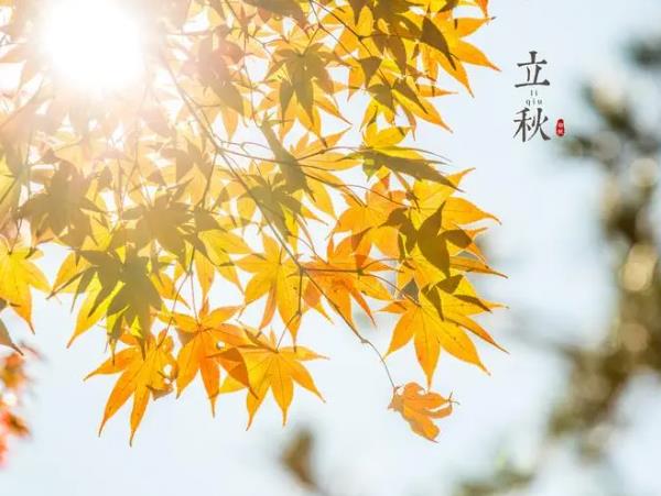 ����ϰ�ף����������ʱ������Щϰ�ף�