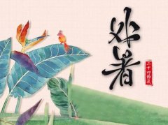 处暑是什么意思