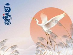 ��¶����ʳ�ף���¶������ʲô��