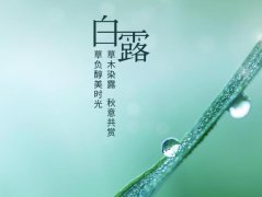 ��¶ϰ�ף�����ڰ�¶ʱ������Щϰ�ף�