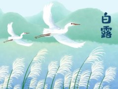 ��¶�����������