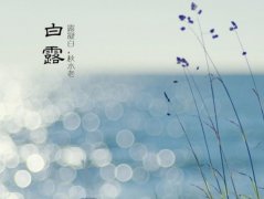 ��¶��ʲô��