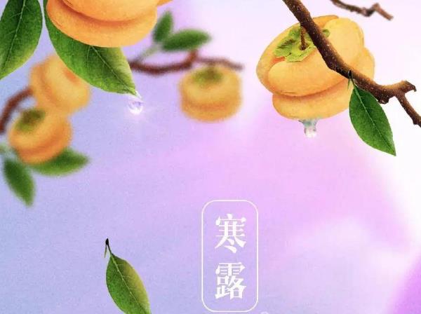 寒露节气相关谚语