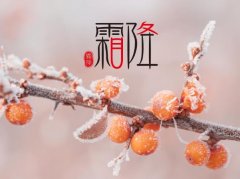 霜降是什么时候?霜降是几月几日