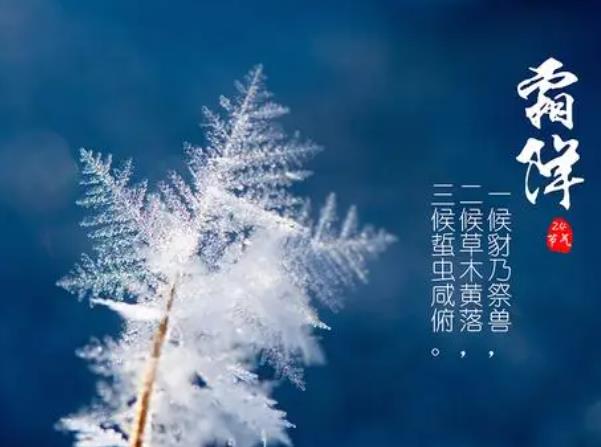 ˪�������������