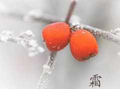 霜降是什么意思