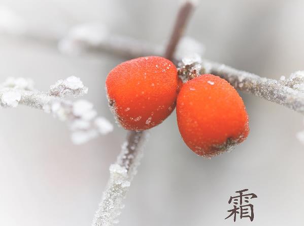 ˪����ʲô��˼